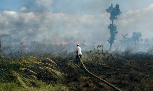 Croatia reports significant increase in wildfires this year