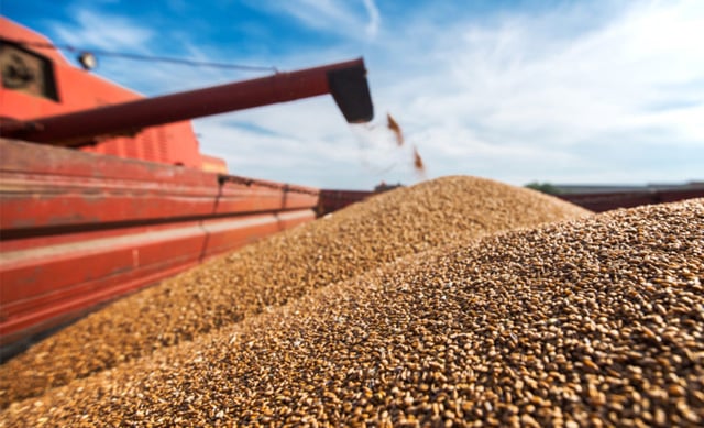 Russia exported record high grain volume last season: ministry