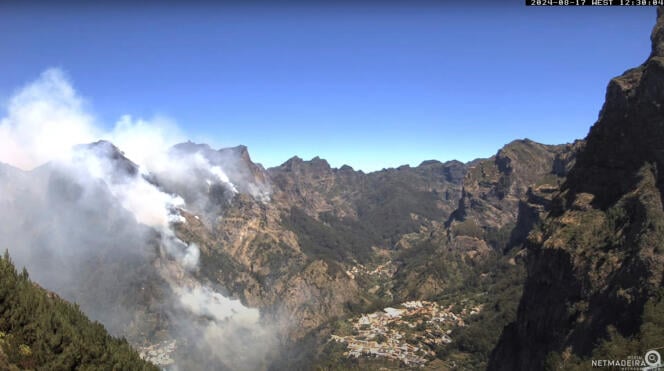 Portugal: Madeira wildfire threatens UNESCO listed forest