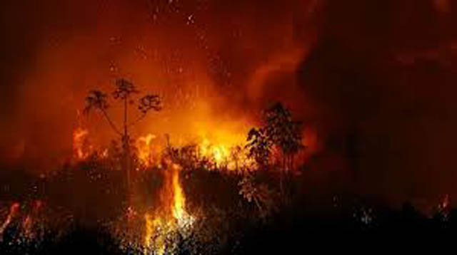 Brazil: Wildfires rage in parched southeast Sao Paulo state; 2 factory workers killed