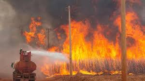 Brazil waging ‘war’ on wildfires in crowded Sao Paulo state