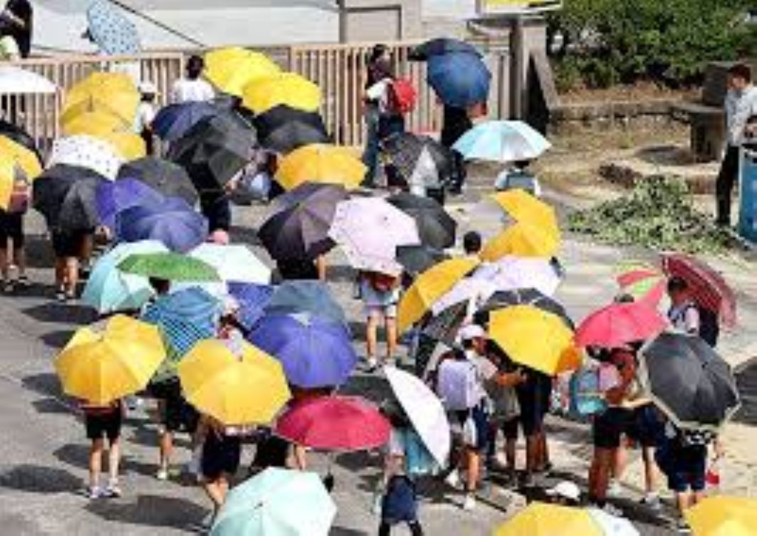 Japan Continues To Bake Amid Scorching Heat Wave