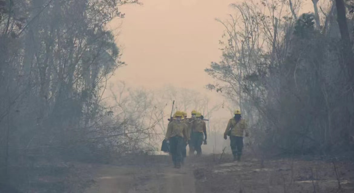 Bolivia declares national emergency over forest fires