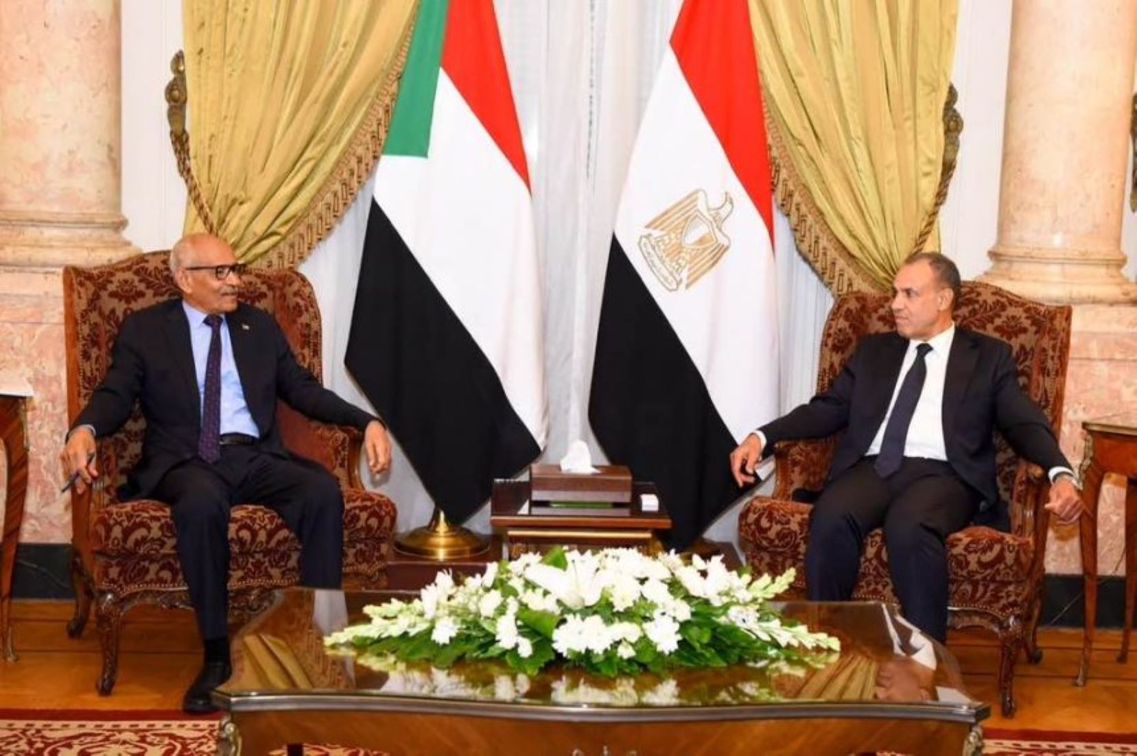 Egyptian, Sudanese FMs Discussed Crisis In Sudan