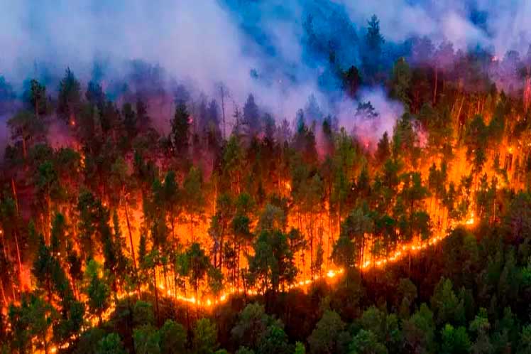 Ecuadorian government allocates funds to fight forest fires