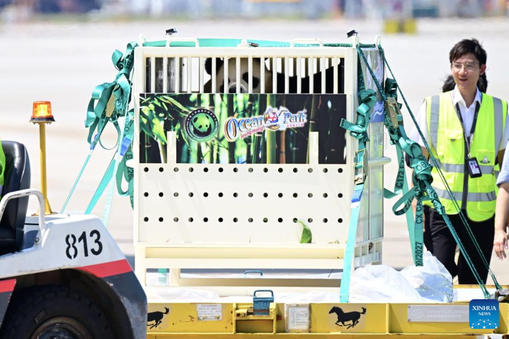 Giant Panda Pair Arrived In Hong Kong