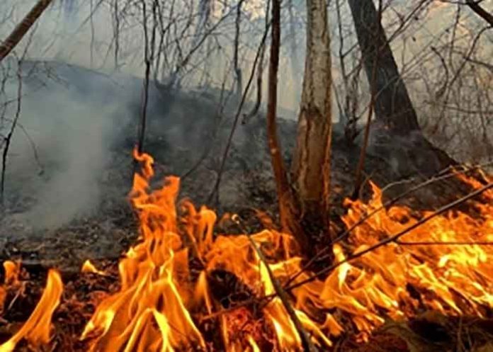 Peru: Death toll from forest fires rises to 18