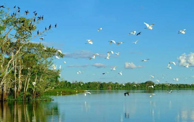 Brazil: Pres Lula announces creation of National Climate Authority to deal with extreme natural phenomena