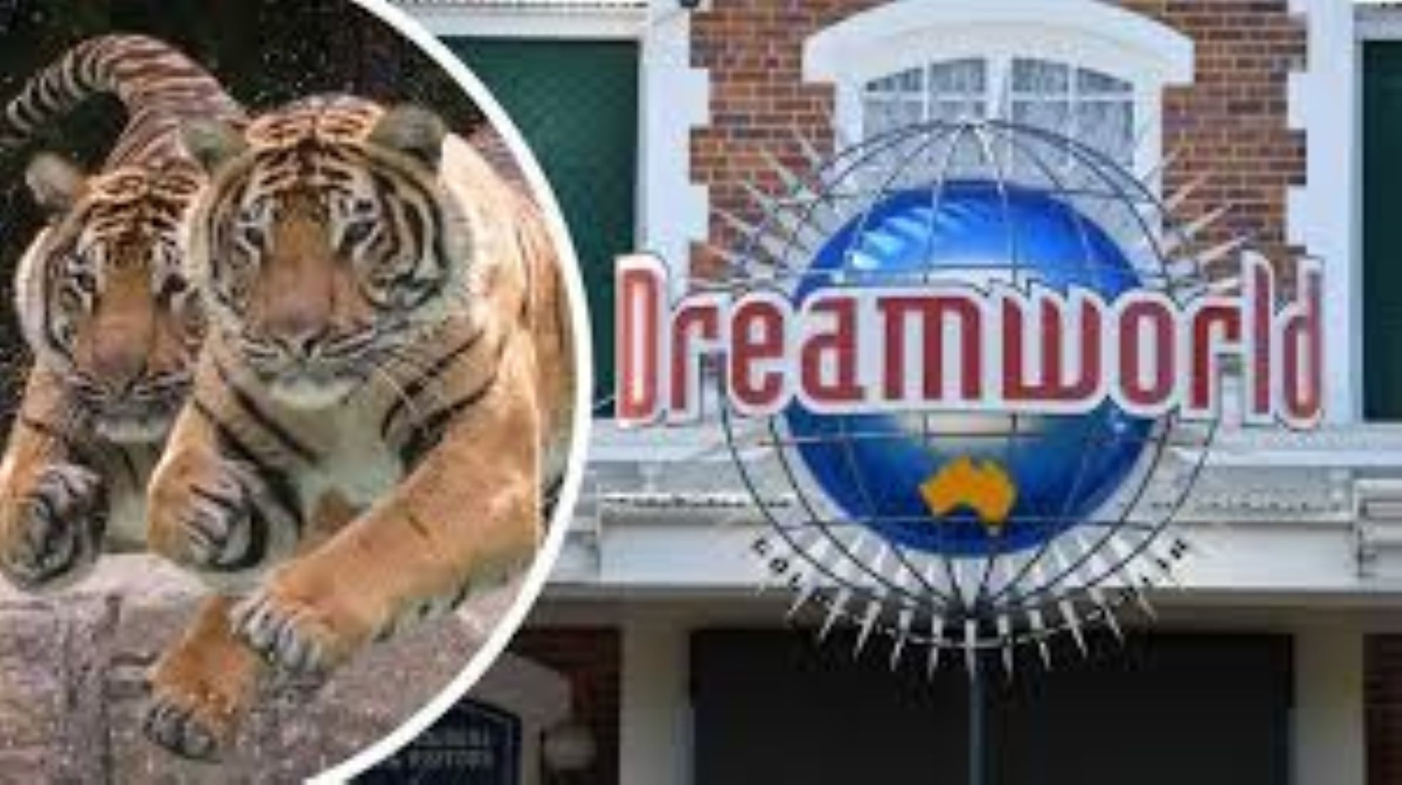 Woman Hospitalised After Tiger Attack At Australian Theme Park