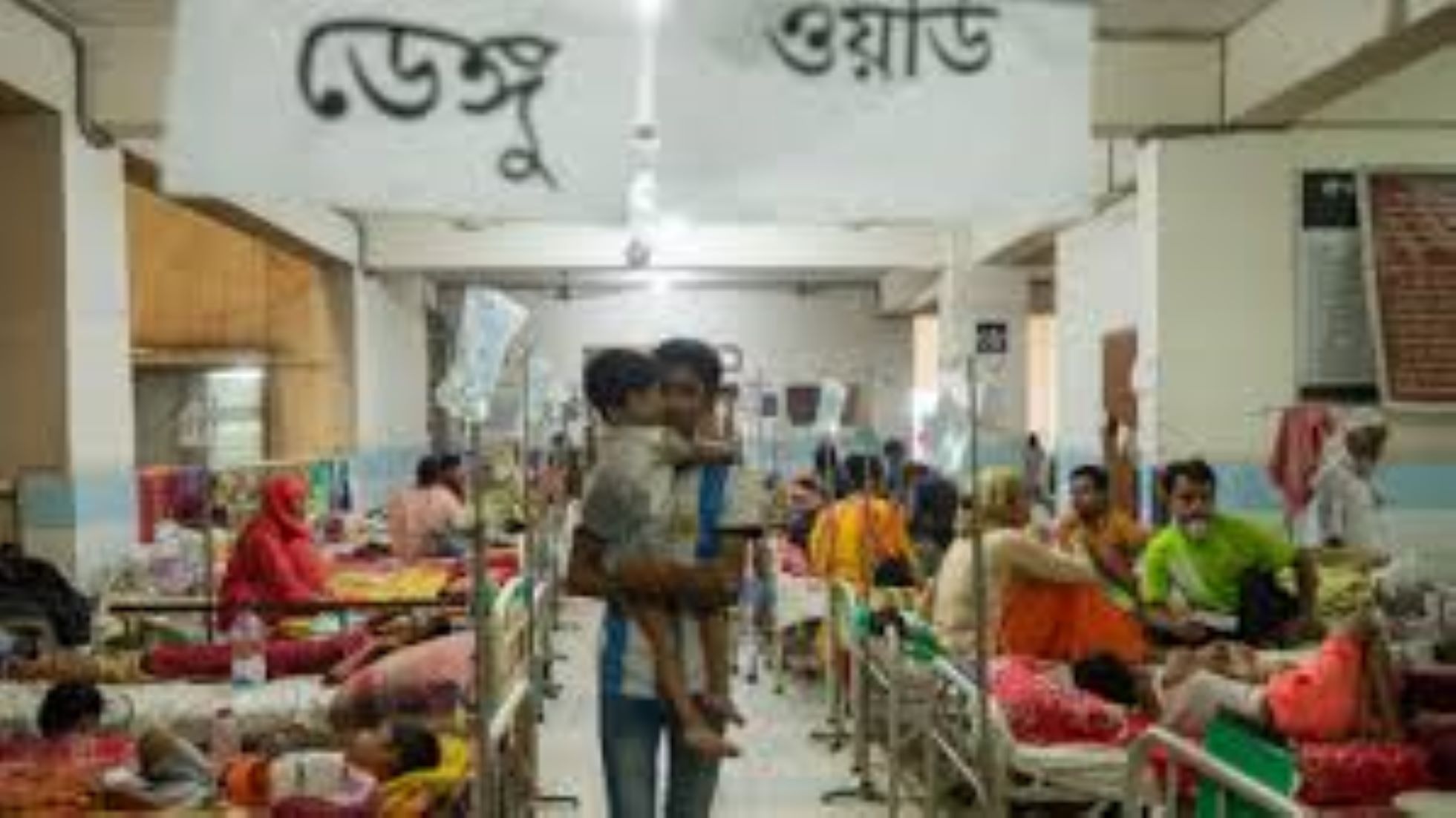 Bangladesh Records 346 New Dengue Cases, Four More Deaths