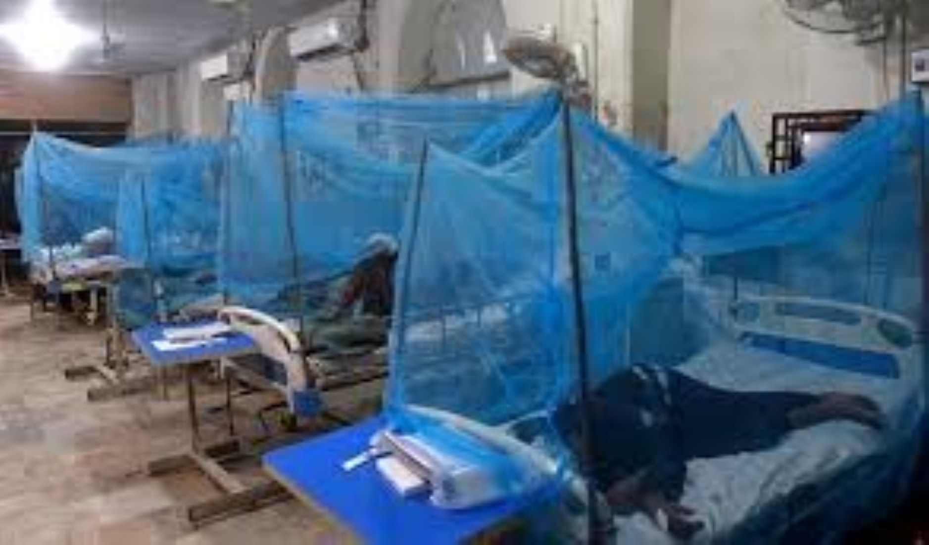 86 New Dengue Cases Reported In Pakistan’s Punjab Province