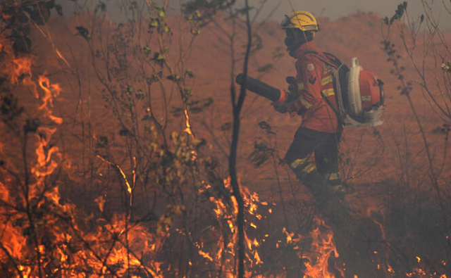 Brazil: Firefighters battling flames around capital Brasilia