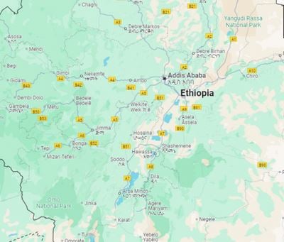 Ethiopia bus accident kills at least 28: officials