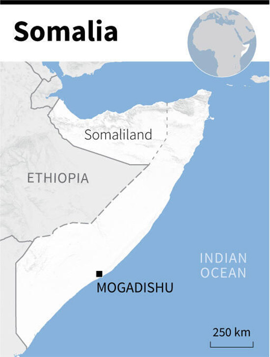 Ethiopian actions ‘flagrantly violate’ Somali territorial integrity: Somali PM