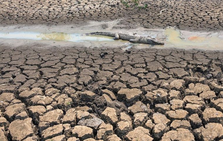 Brazil: Drought reaching unprecedented limits