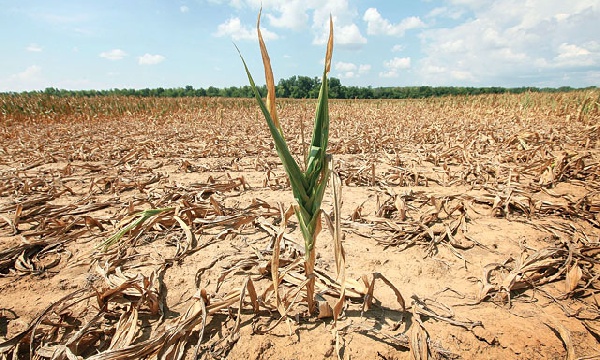 UN: Worst drought in century devastates Southern Africa, millions at risk