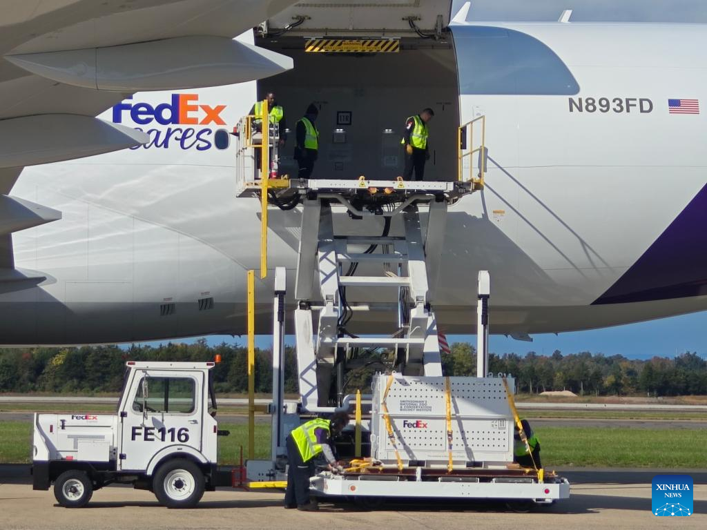 US: Two giant pandas from China arrive in Washington, D.C.