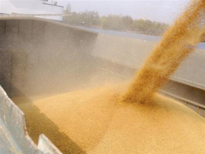 Russian grain harvest in 2024 will be 130 million tons: DPM Patrushev