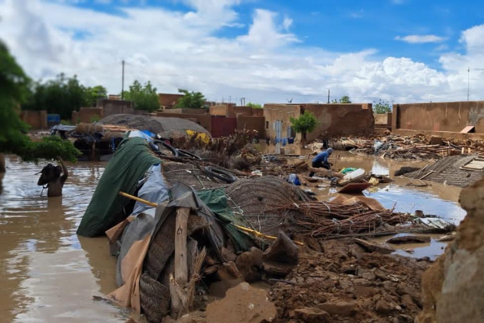 Over 5 mln people in West, Central Africa impacted by floods: UN