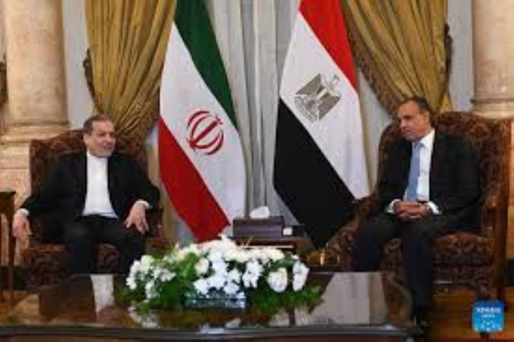 Egyptian, Iranian FMs Discussed Regional Developments, Warning Against Wider War