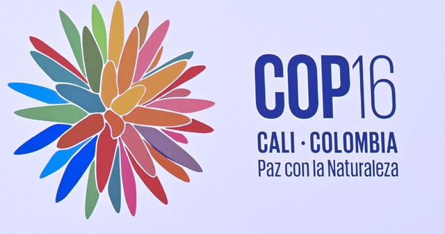 UN: Countries under pressure to fork out for nature at COP16 conference in Colombia