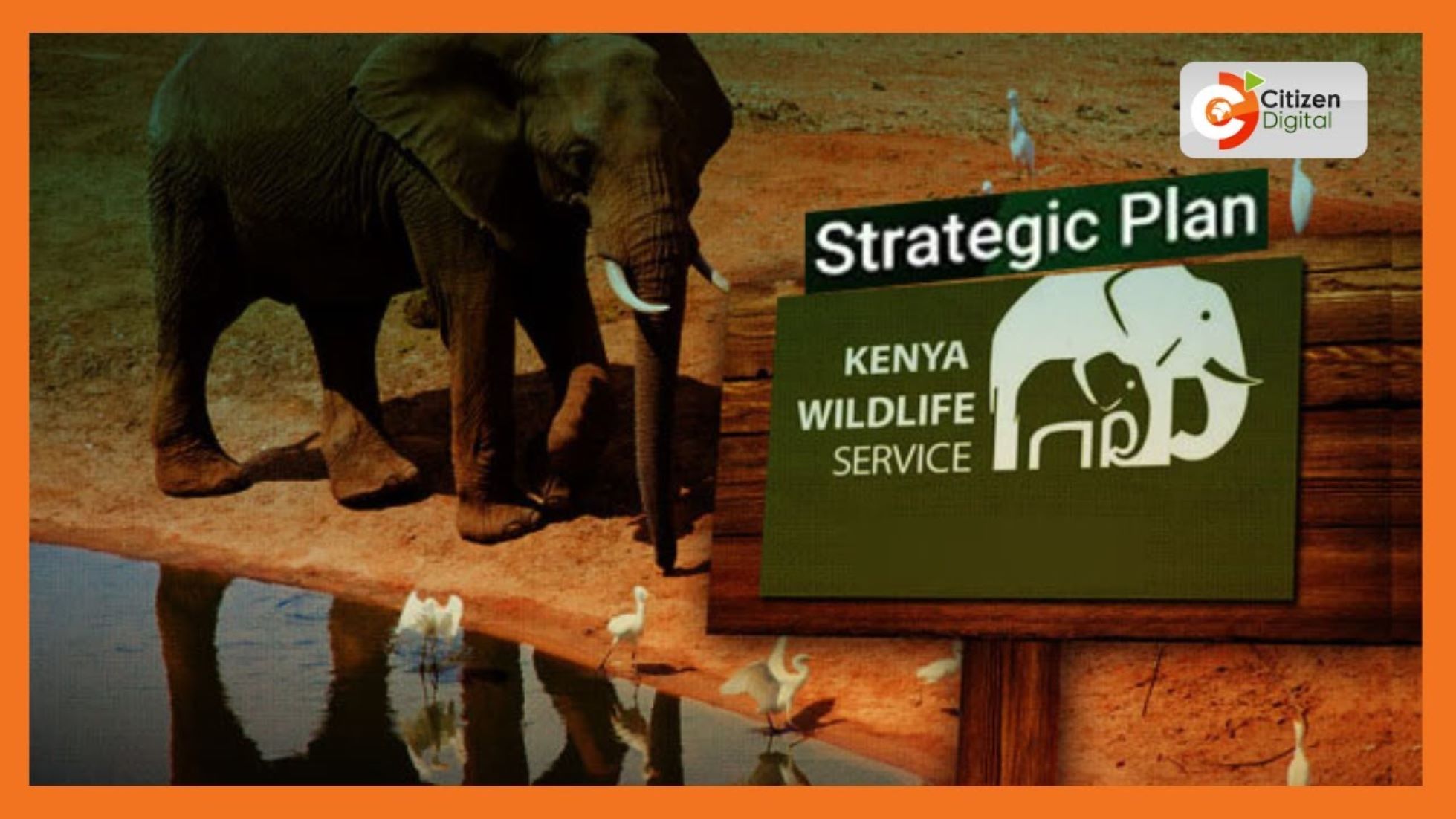 Kenya Launches Strategic Plan To Boost Wildlife Conservation