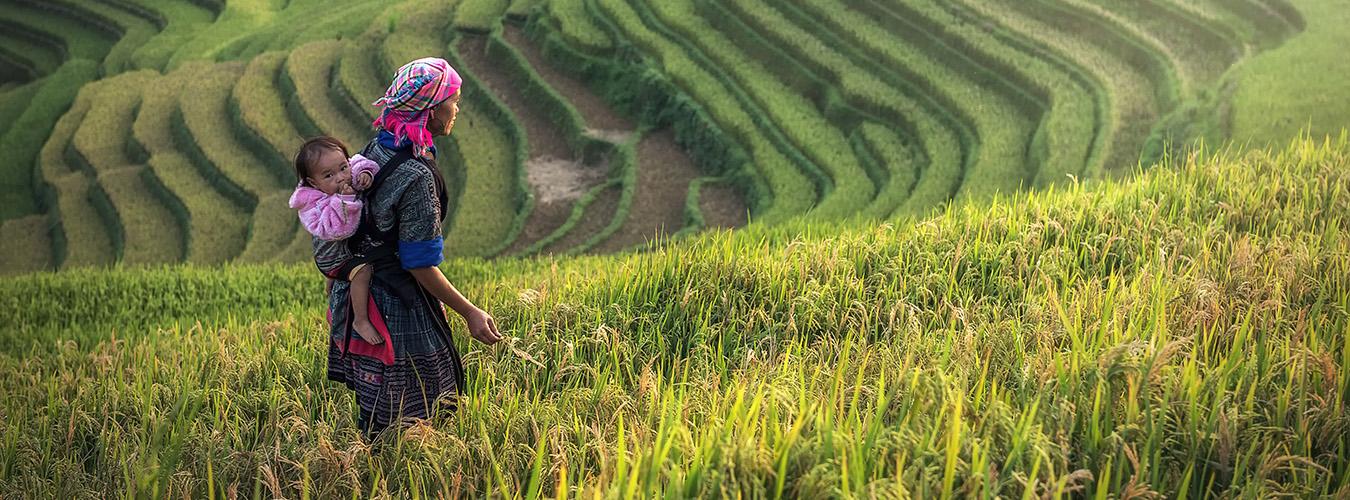 International Day of Rural Women: Over 5,000 hectares of land delivered to Colombian peasant women