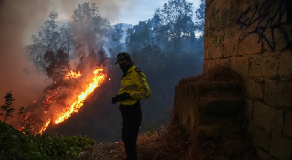 Ecuador declares 60-day state of emergency to help battle wildfires