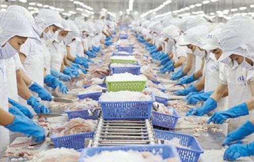 Vietnam’s Monthly Seafood Exports Back To One Billion USD After More Than Two Years