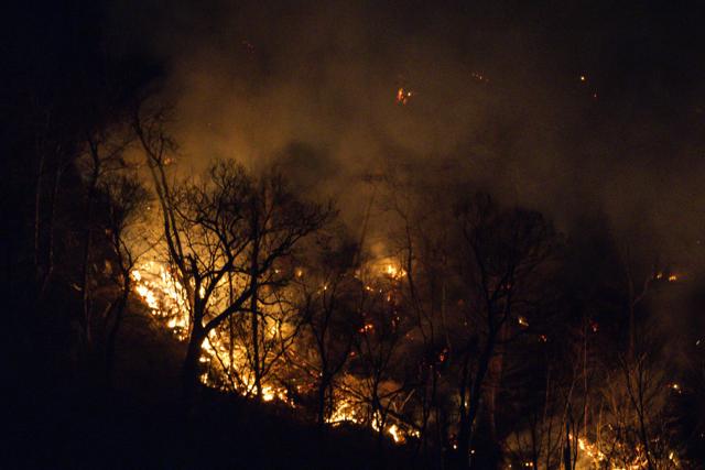 Ecuador Declared National Emergency Amid Wildfires, Drought