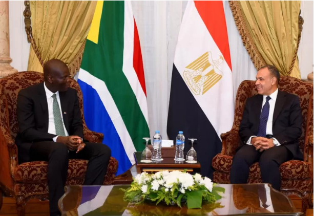 Egyptian President, South African Top Diplomat Met On Regional Situation, Bilateral Ties