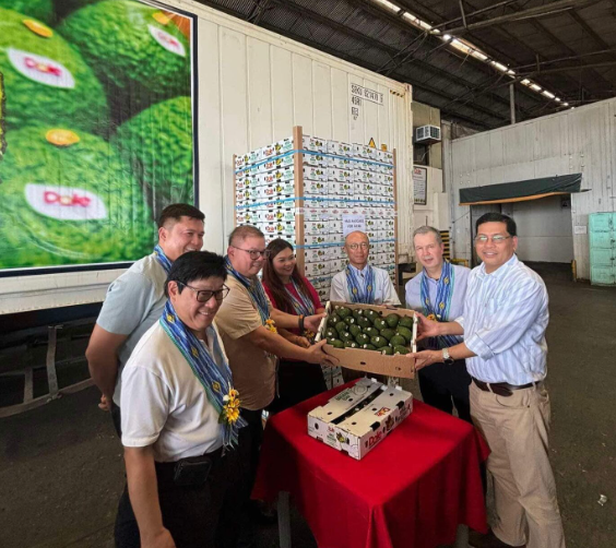 Philippines Sent First Shipment Of Hass Avocados To Japan