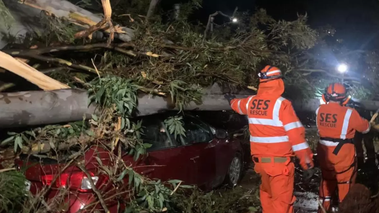 Storm Hits E. Australia, Causing Property Damage, Flights Cancellation