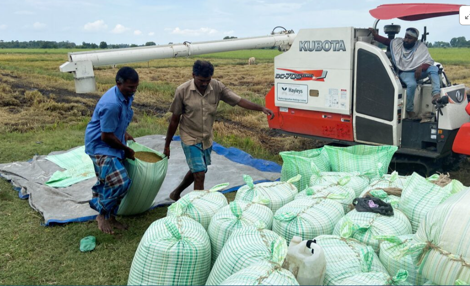 Sri Lanka To Import 70,000 Metric Tonnes Of Rice To Address Shortages