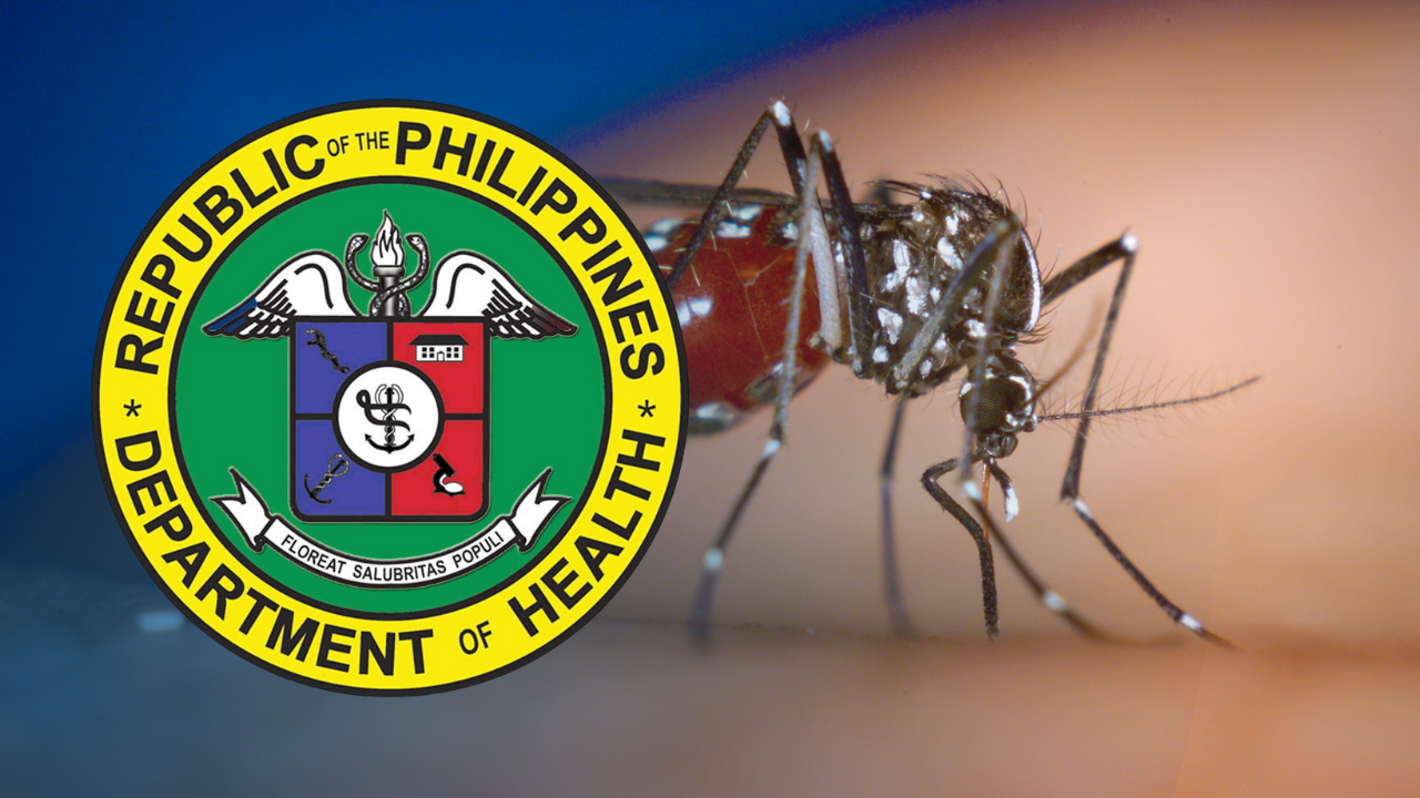 Dengue Cases In Philippines Up 81 Percent So Far This Year