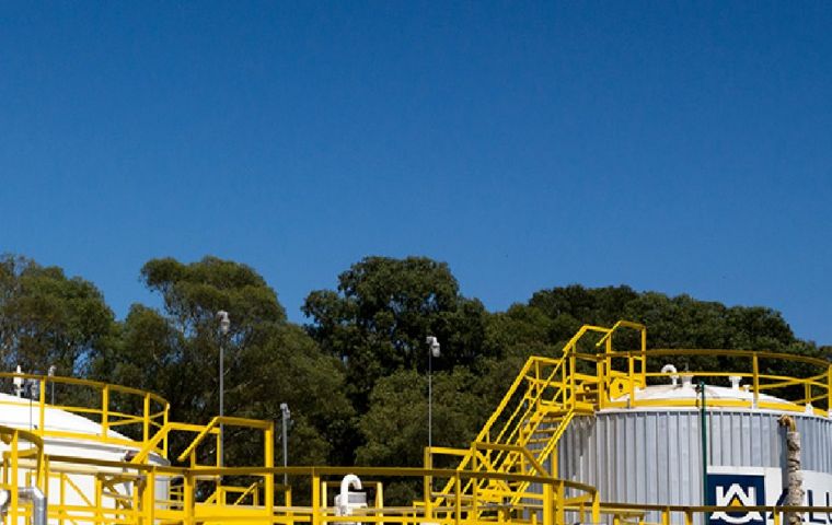 Uruguayan company to sell corn oil biofuel to The Netherlands