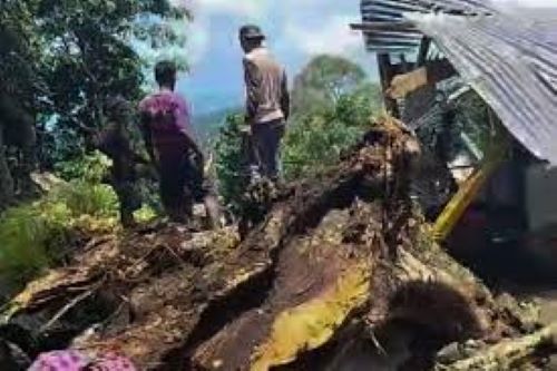 Nine Killed By Fallen Tree At Cultural Site In Indonesia