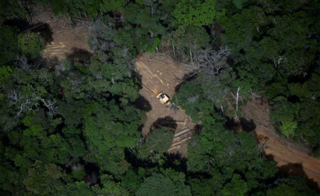 Brazil: Amazon posts lowest deforestation in nine years – govt