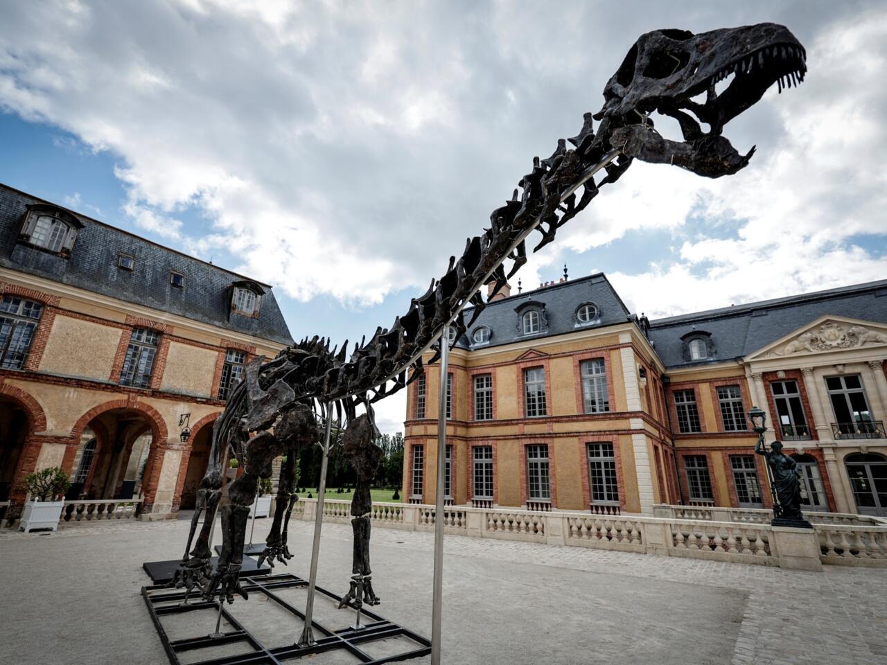 France: Dinosaur skeleton fetches 6 million euros in Paris sale