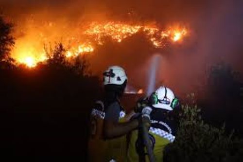 Syrian Firefighters Battling Massive Wildfire In Latakia Forests