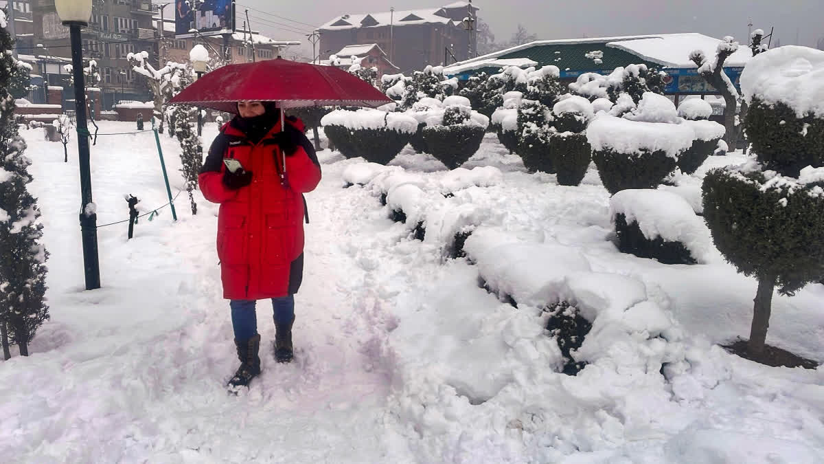 Air traffic suspended as heavy snowfall disrupts life in Indian-controlled Kashmir