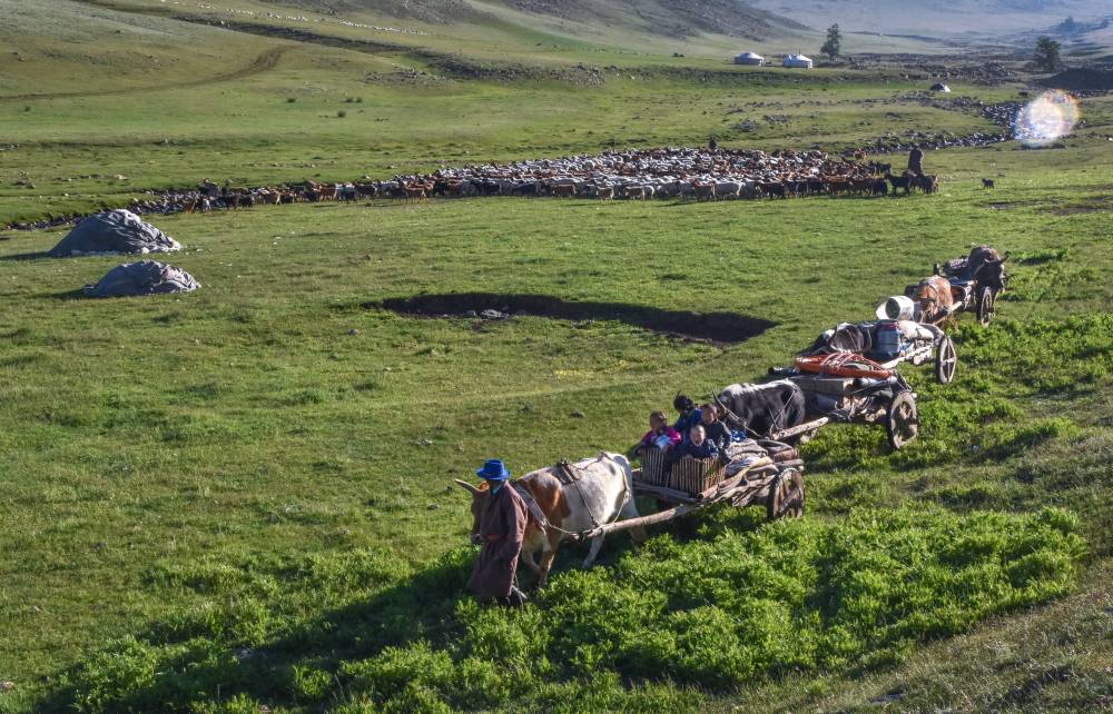 UNESCO Adds Mongolia’s Mongol Nomad Migration, Associated Practices To Intangible Cultural Heritage List