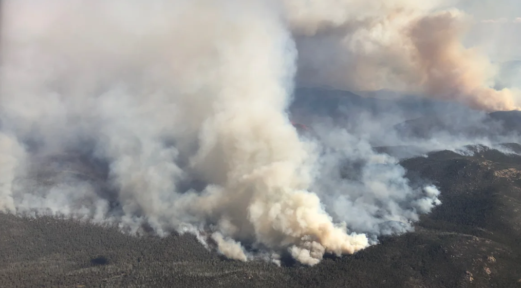 Cooler Conditions Slow Spread Of Major Bushfire In Southeast Australia