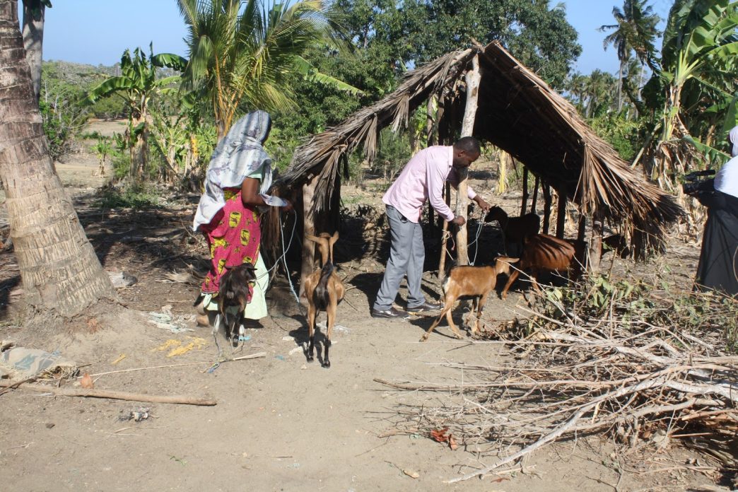 Tanzania secures 783bn/- from World Bank for poverty reduction