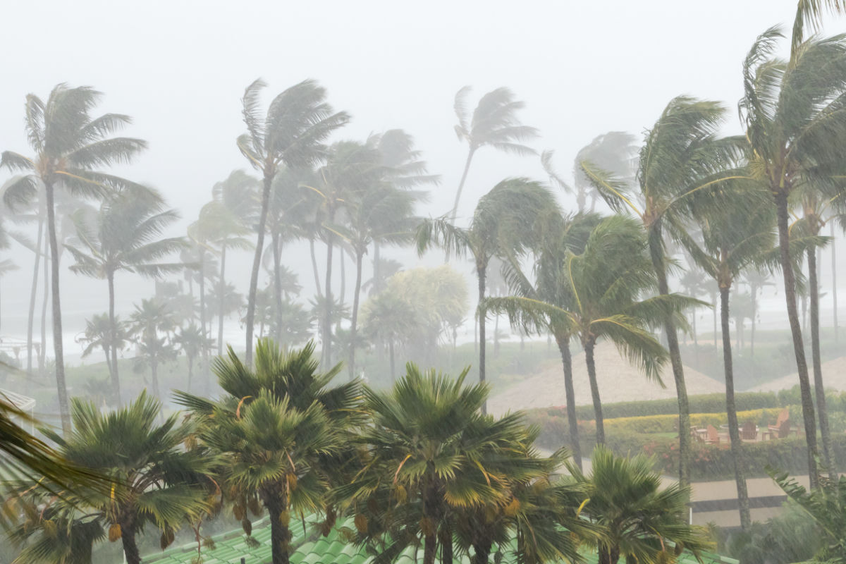 Heavy Rainfall Forecast For Indonesia During Year-End Holidays