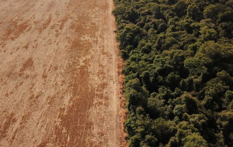 Relief in Brazil, EU negotiators agree to delay anti-deforestation bill until end of 2025