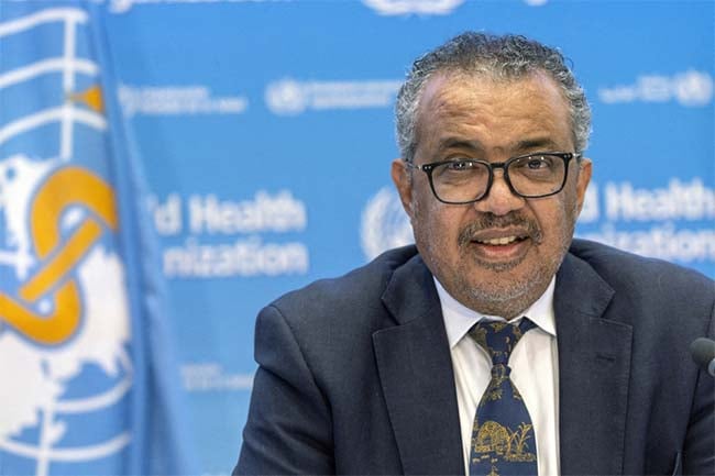 ‘End in sight’ to talks on pandemic treaty, says WHO chief