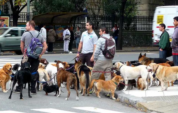 Brazil to issue Animal ID to household pets to ensure more security in buying and selling transactions