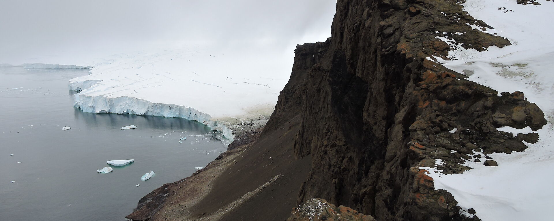 New Australian Map To Enhance Conservation Of Species In Ice-Free Antarctica