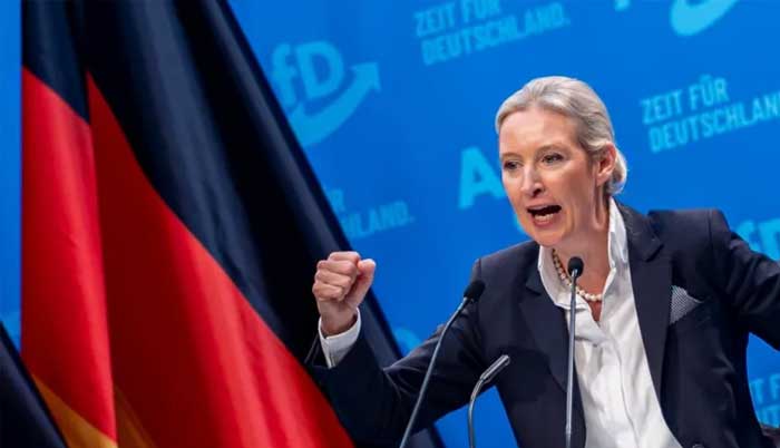 Germany: Afd embraces mass deportation of migrants as election nears